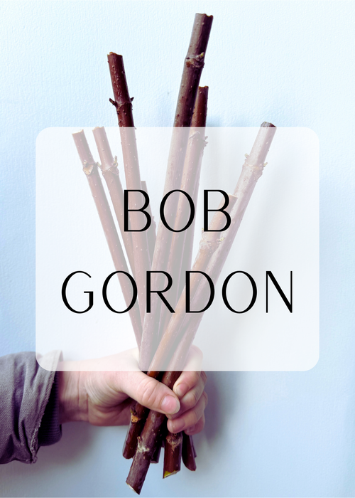 Organic American Elderberry Canes - Bob Gordon
