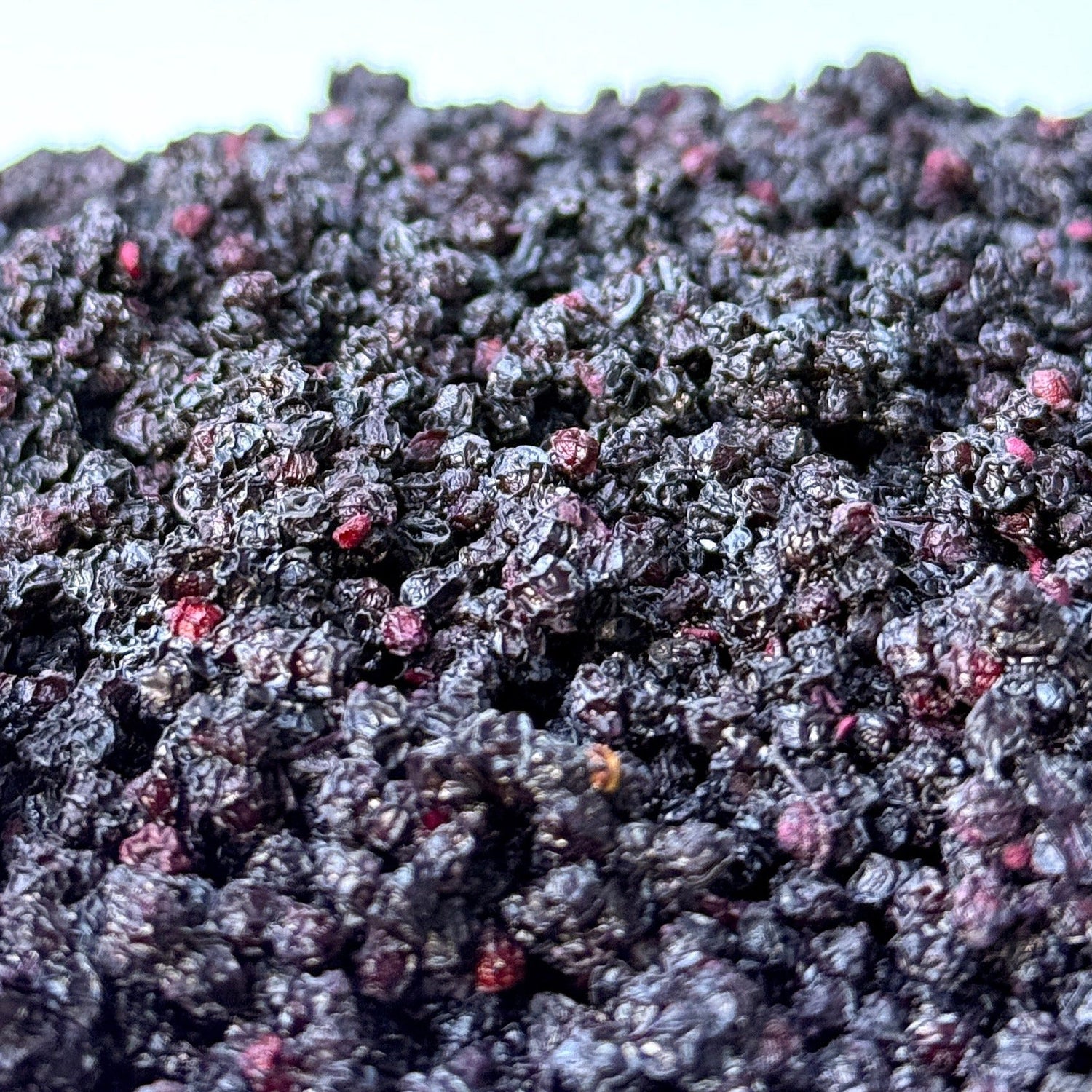 American Elderberries VS European Elderberries