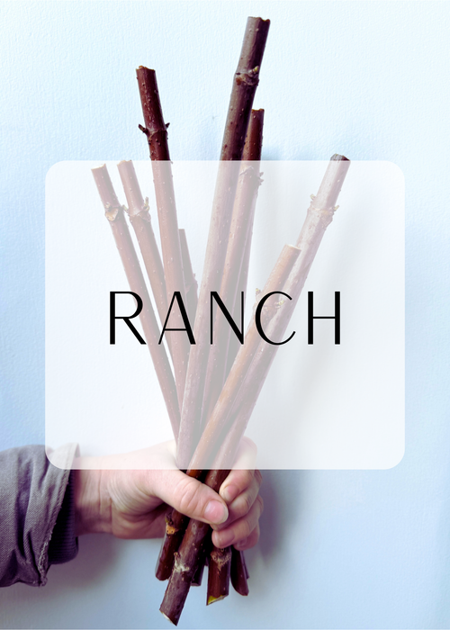 Organic American Elderberry Canes - Ranch